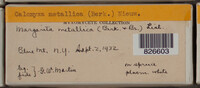Image Associated With the Occurence